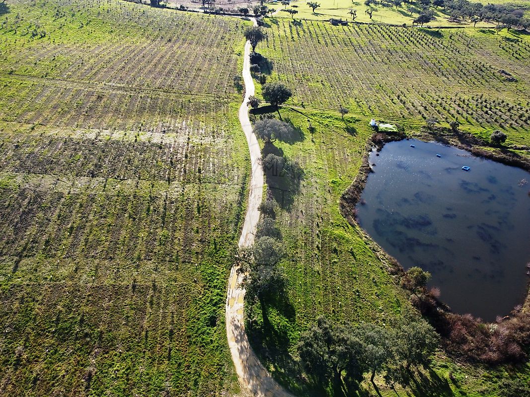 Quinta T3 à venda em Portalegre