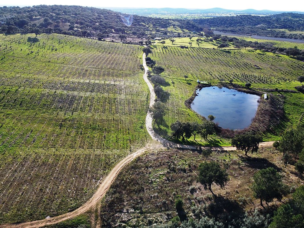 Quinta - Alegrete, Portalegre, Portalegre