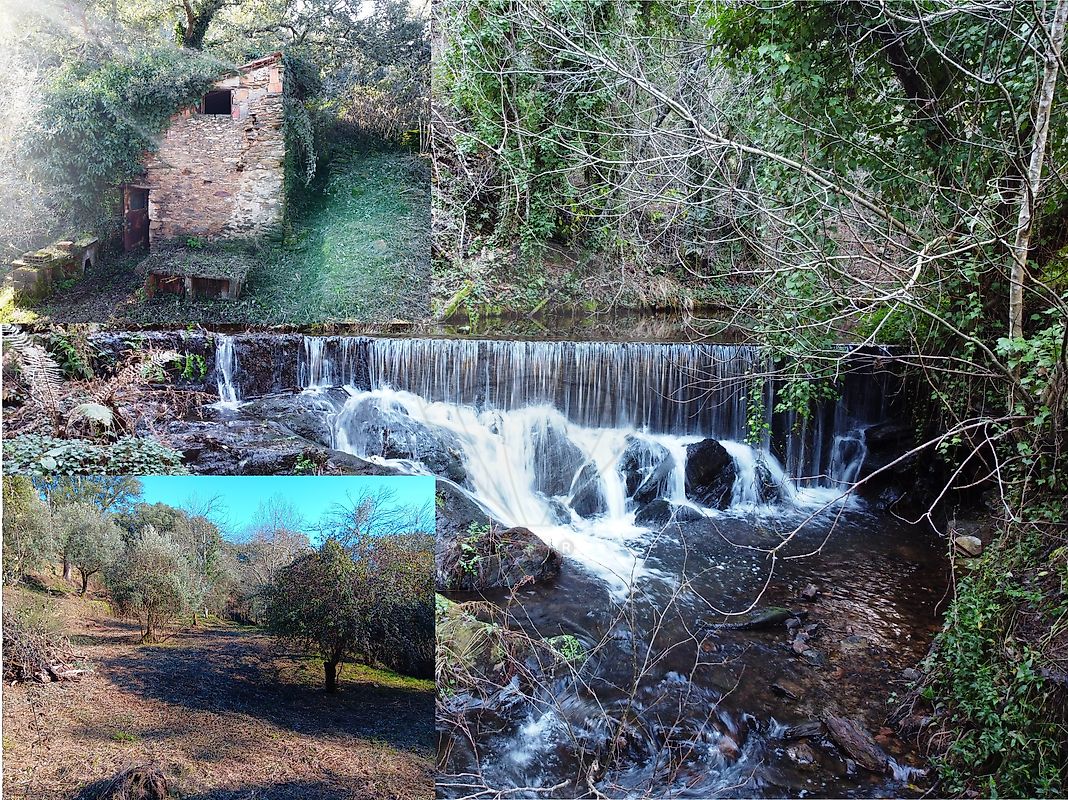 Quinta à venda em Portalegre