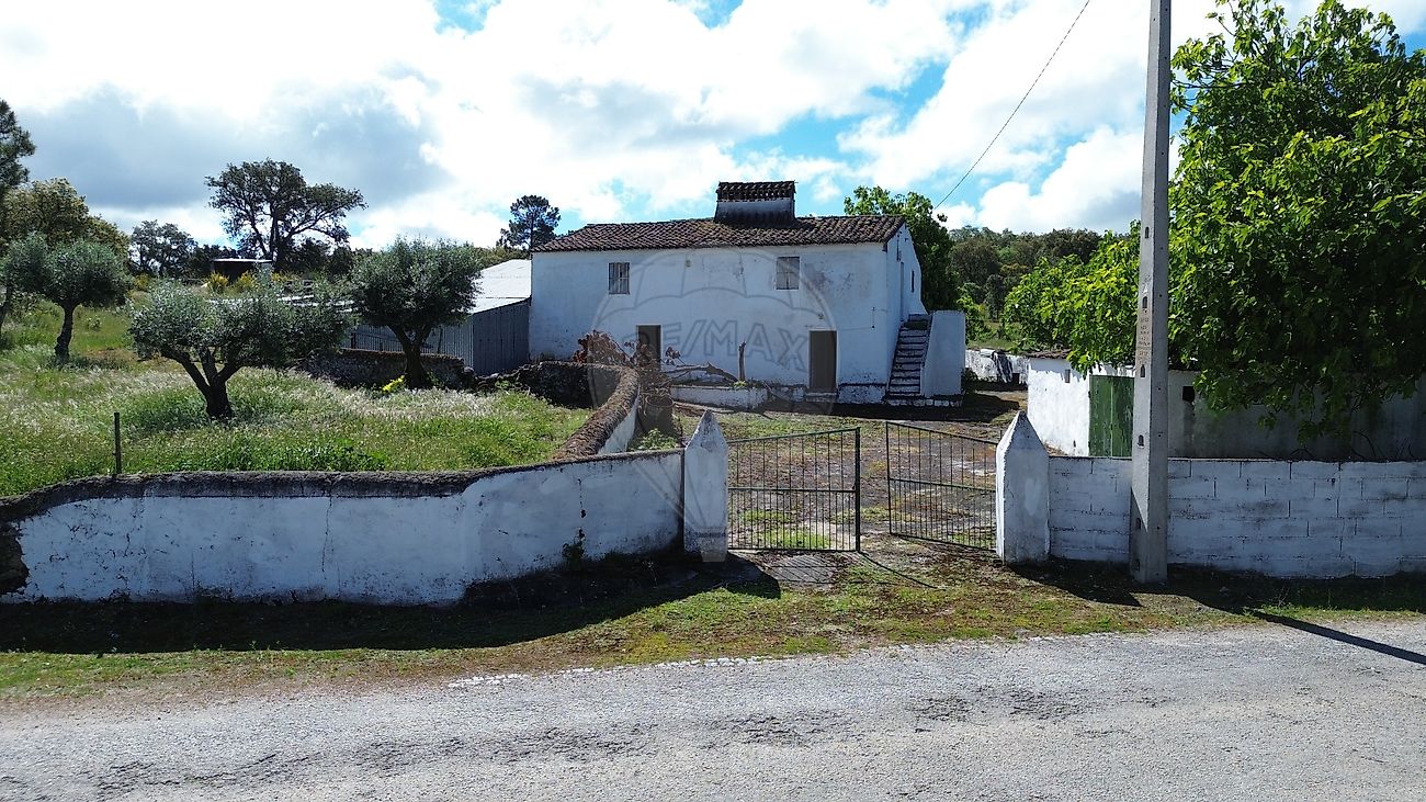 Quinta - Ribeira de Nisa e Carreiras, Portalegre, Portalegre
