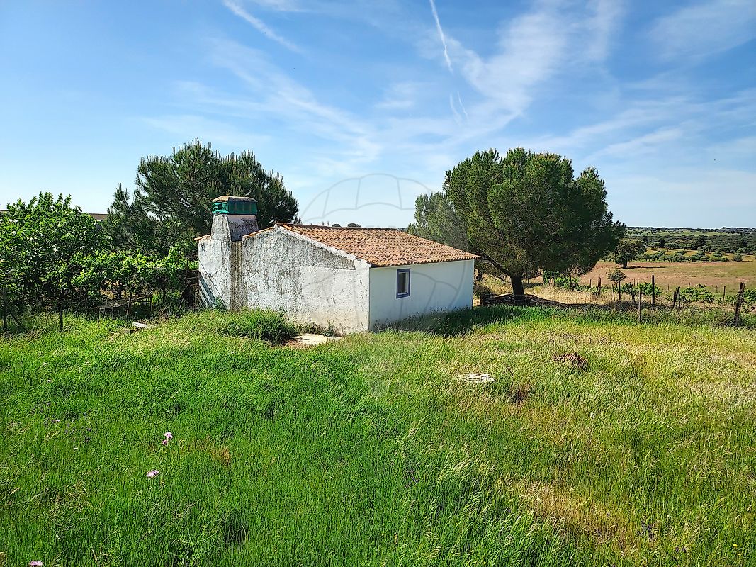 Quinta - Assunção, Arronches, Portalegre