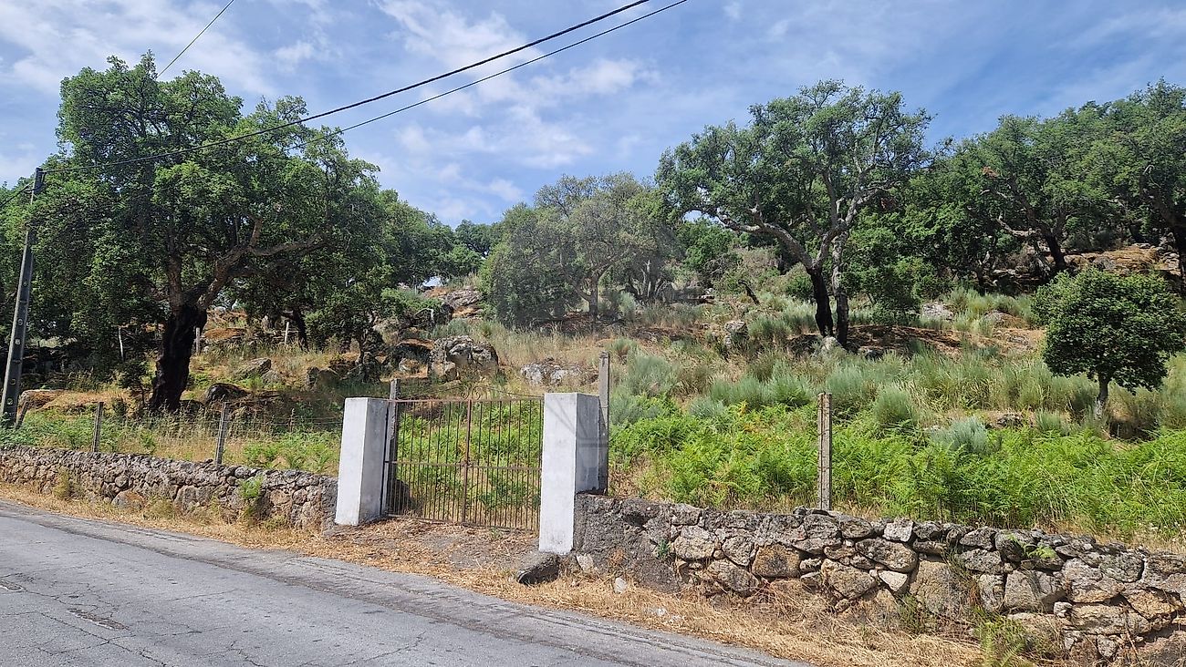 Terreno - Santo António das Areias, Marvão, Portalegre