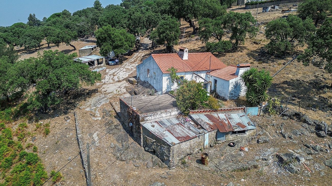 Quinta - Ribeira de Nisa e Carreiras, Portalegre, Portalegre