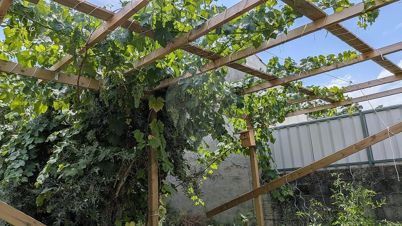 Moradia T3 à venda em Tolosa, Nisa — foto 30