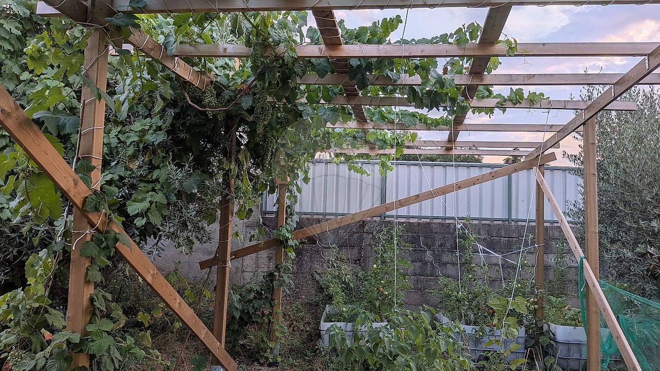 Moradia T3 à venda em Tolosa, Nisa — foto 29