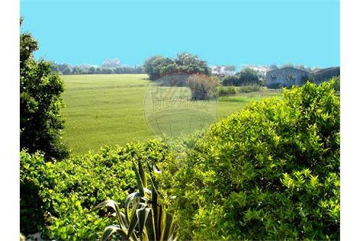 Land for sale in Benavente, Portugal — €159,000