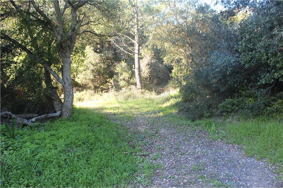 Terreno à venda em Linhó