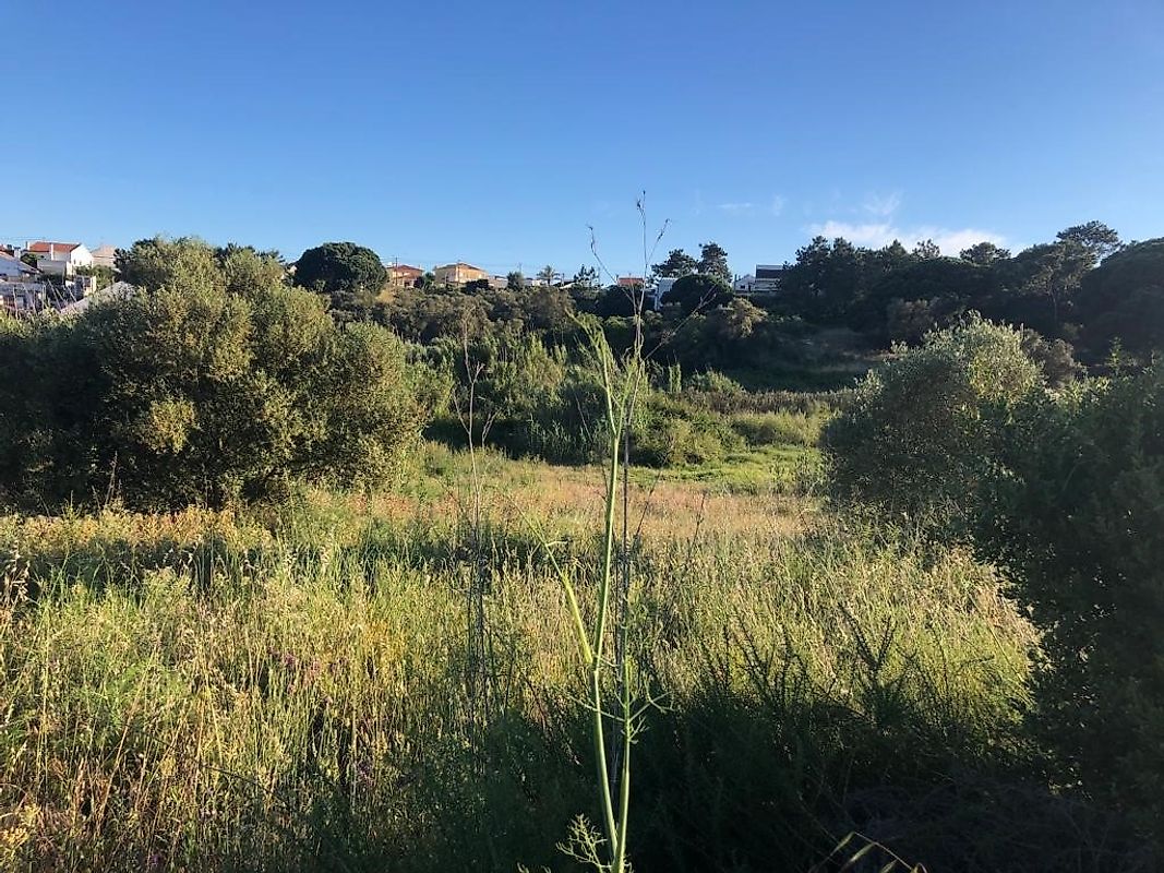 Land for sale in Almada, Portugal — €90,000