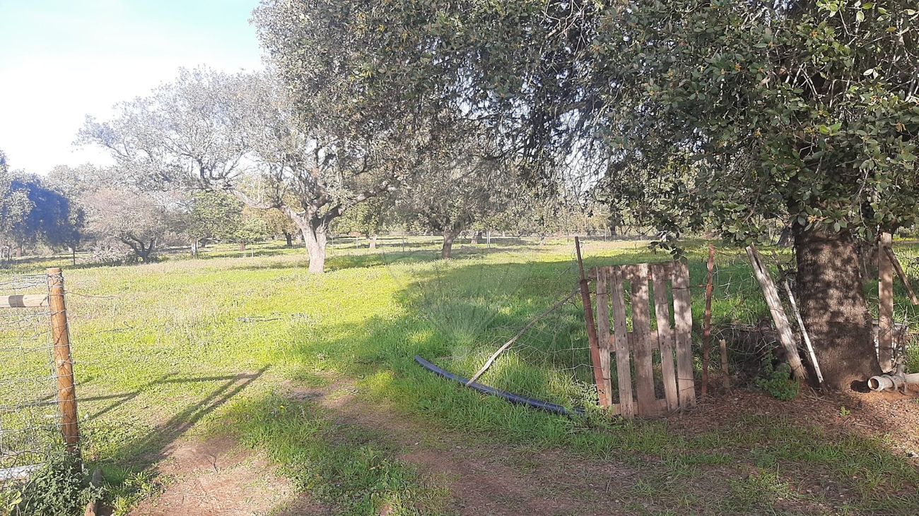 Terreno  para venda