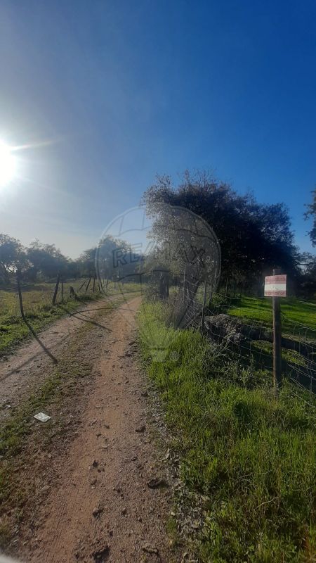 TODO