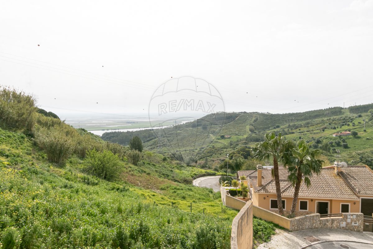 listing-picture-0