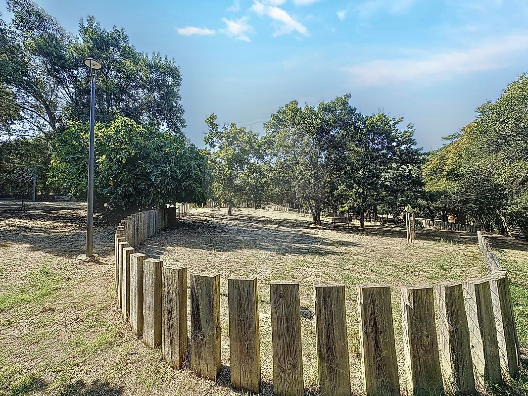 listing-picture-0