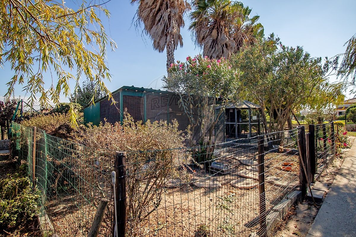 listing 120612570-9 picture-0