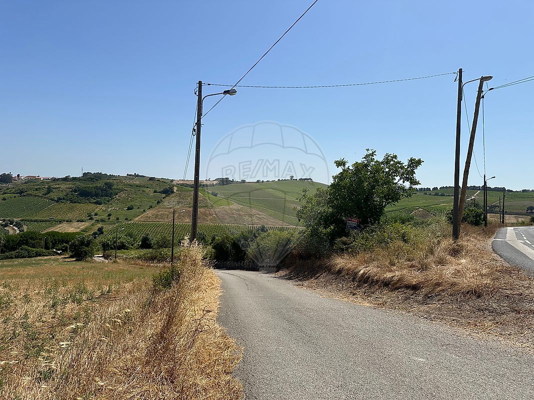 Land for sale in Torres Vedras, Portugal — €60,000
