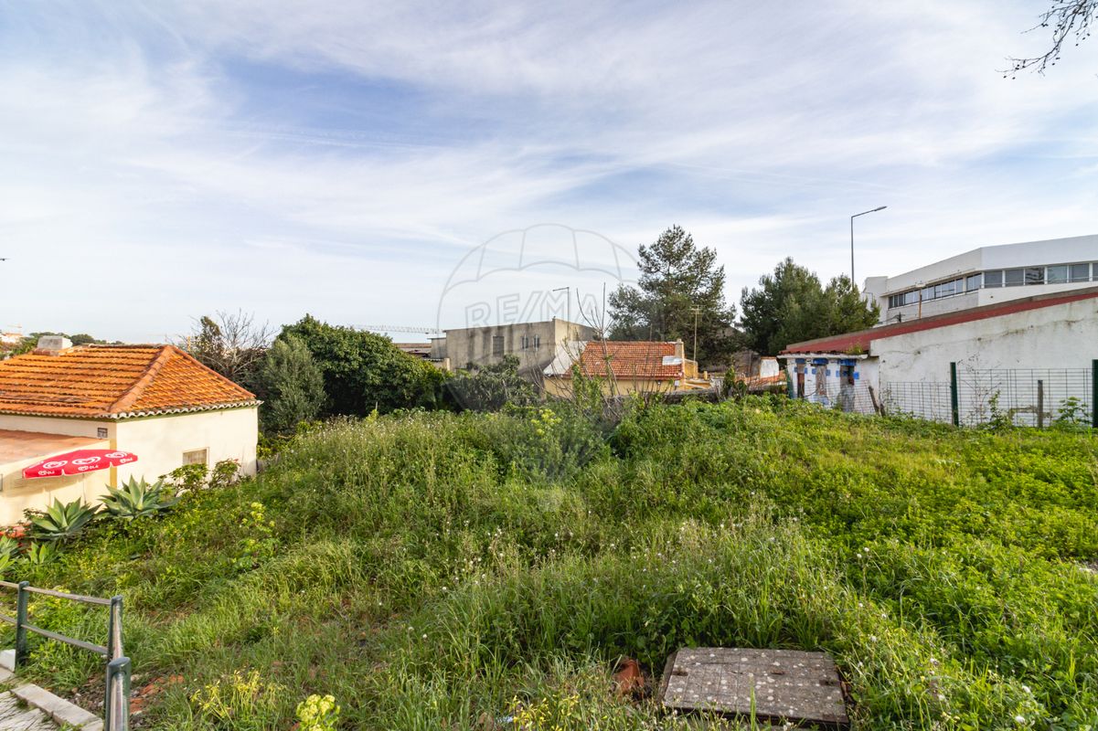 listing-picture-0