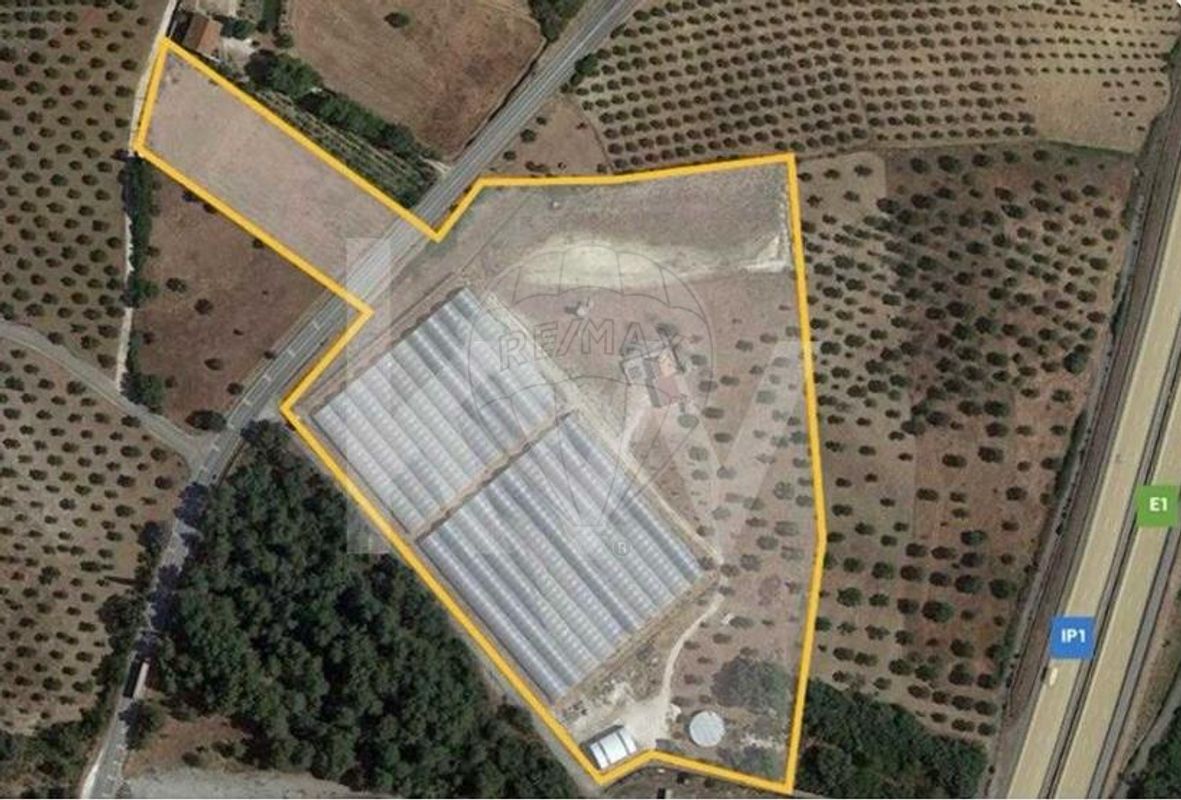 listing-picture-0