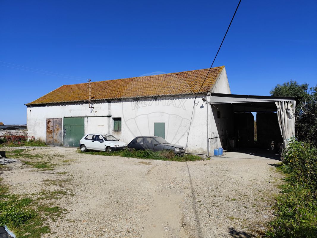 listing-picture-0