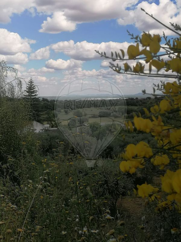 Terreno  para venda