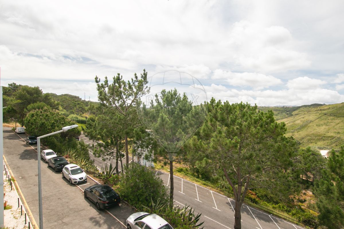 listing 120612039-7 picture-0