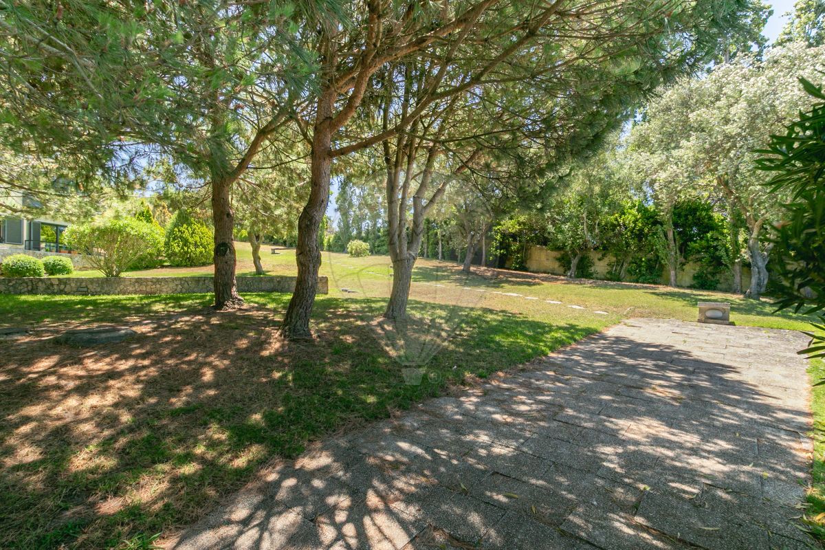 listing 120612639-5 picture-0