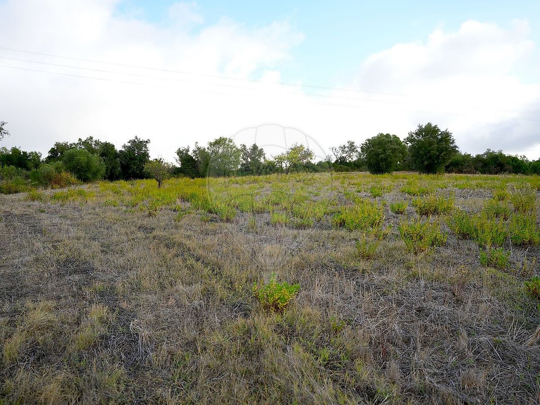 Terreno à venda em Vila Franca de Xira