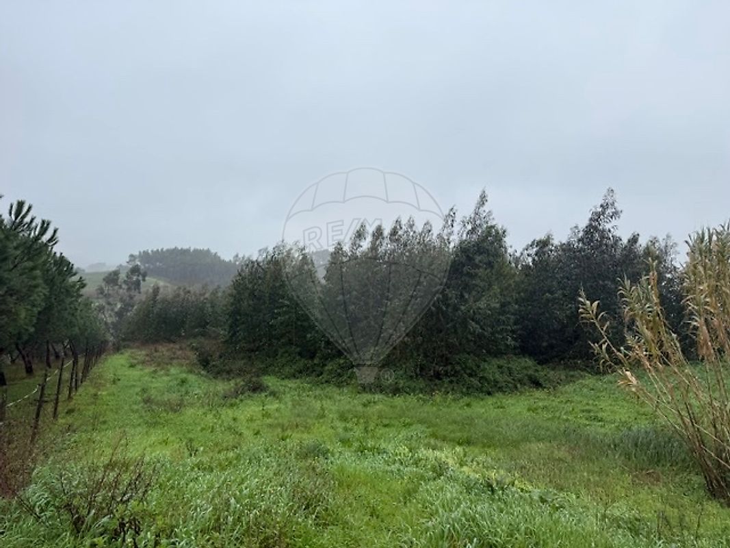 Terreno - Vilar, Cadaval, Lisboa