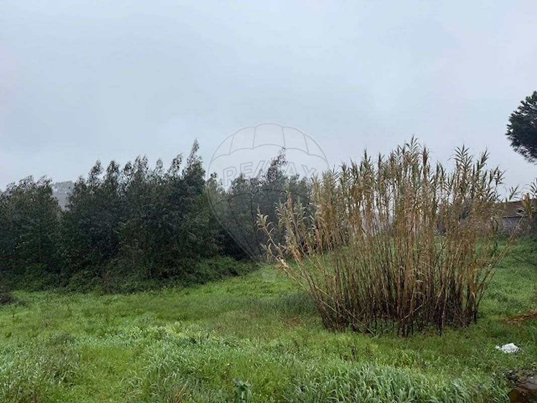 Terreno à venda em Cadaval