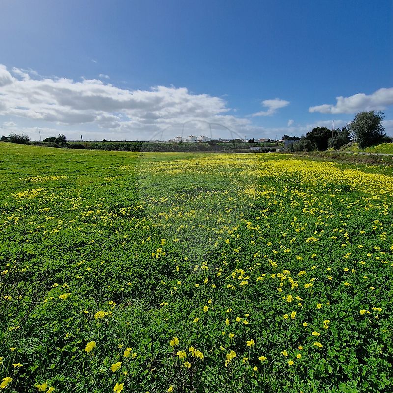 Terreno à venda em Azambuja