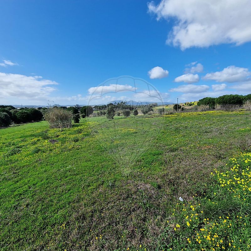 Terreno à venda em Azambuja