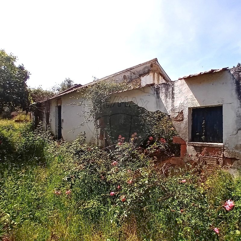Quinta - Coruche, Fajarda e Erra, Coruche, Santarém
