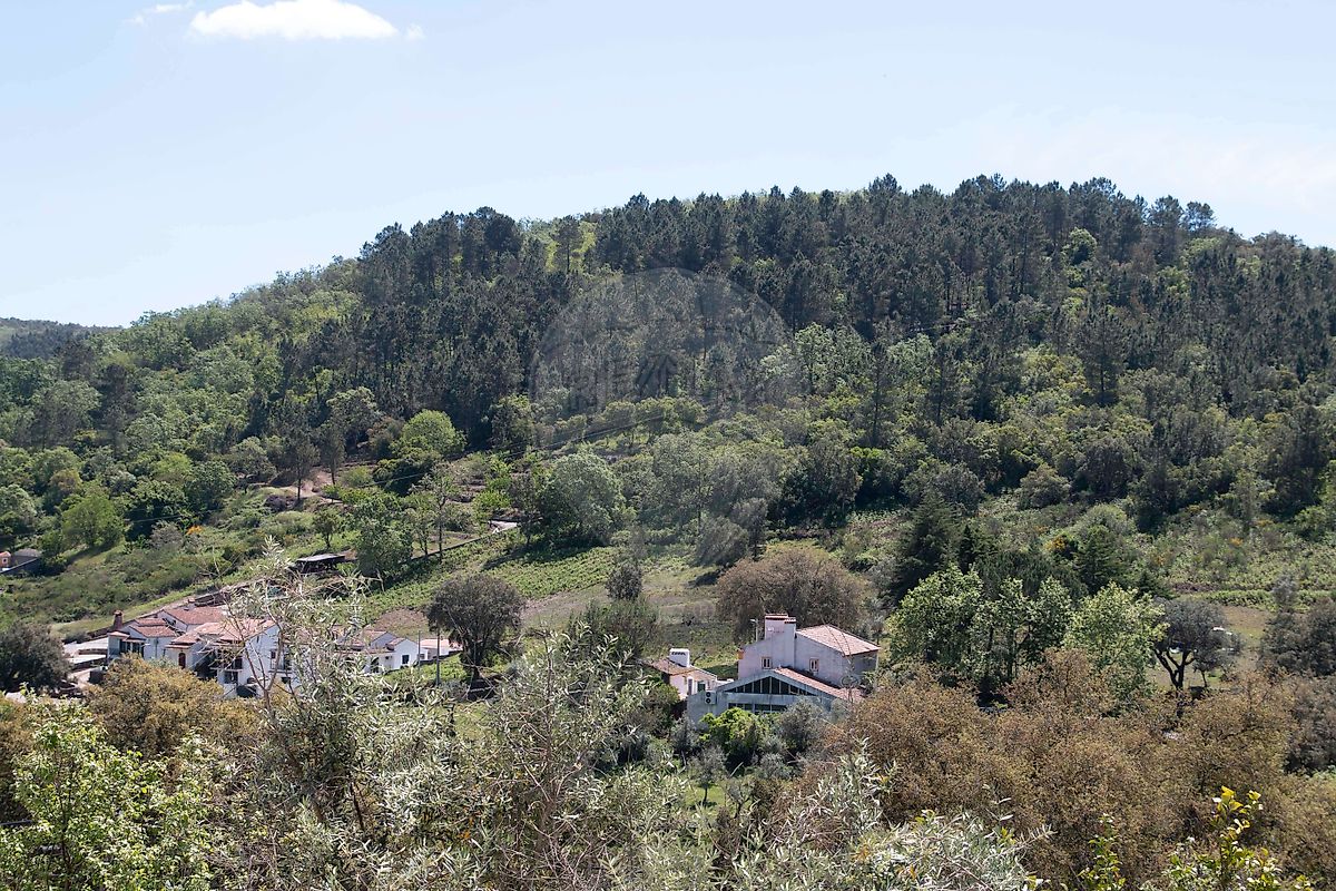 Moradia T3 à venda em Ribeira de Nisa e Carreiras, Portalegre — foto 26