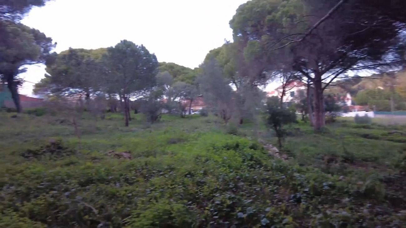 listing 120631830-111 picture-0