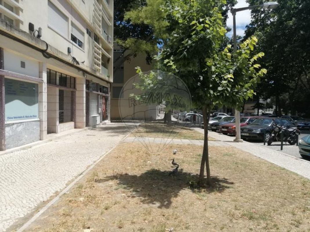 listing 120631147-82 picture-0