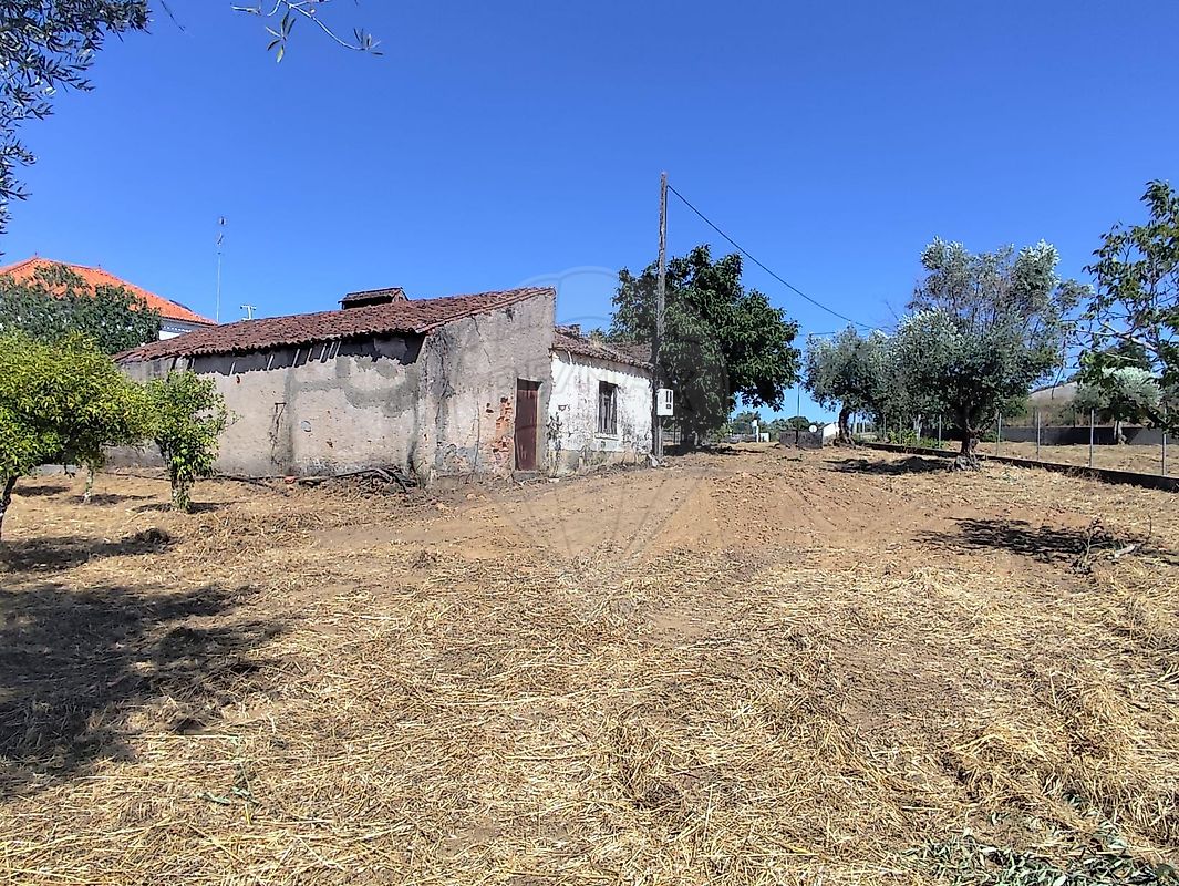 Quinta - Mouriscas, Abrantes, Santarém