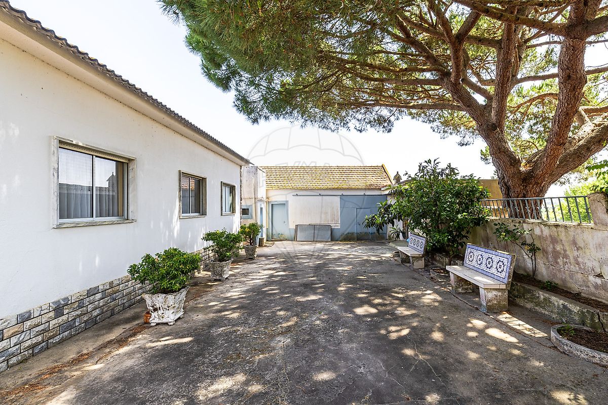 listing-picture-0