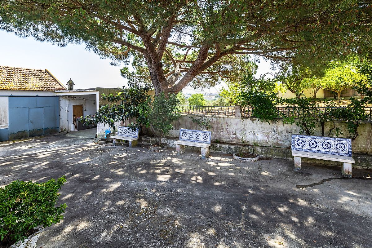 listing-picture-0