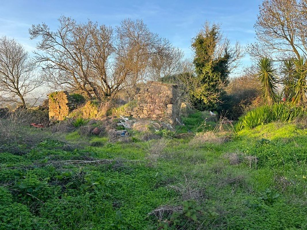Quinta - Cardosas, Arruda dos Vinhos, Lisboa