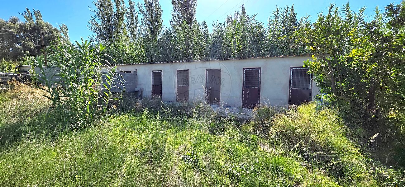 Moradia T6+ à venda em Castanheira do Ribatejo e Cachoeiras, Vila Franca de Xira — foto 30