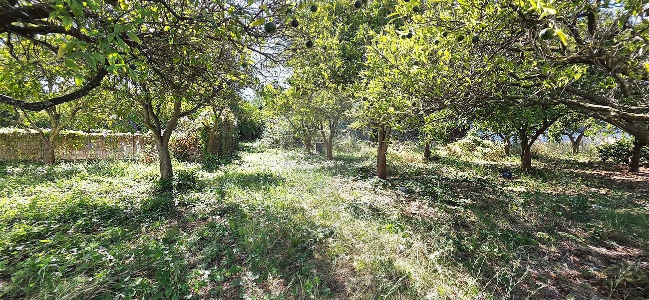 Moradia T6+ à venda em Castanheira do Ribatejo e Cachoeiras, Vila Franca de Xira — foto 31