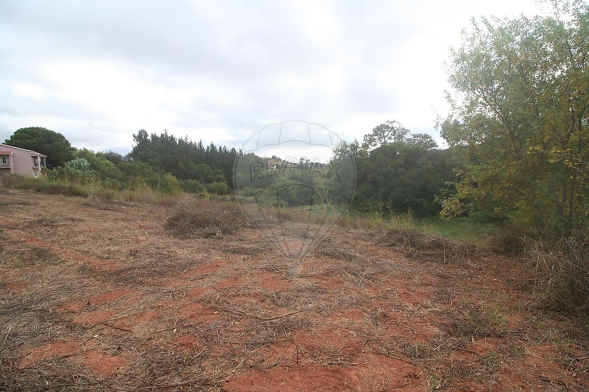 Terreno  à venda em Dom Durão