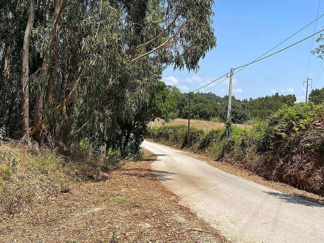 Terreno à venda em Caldas da Rainha