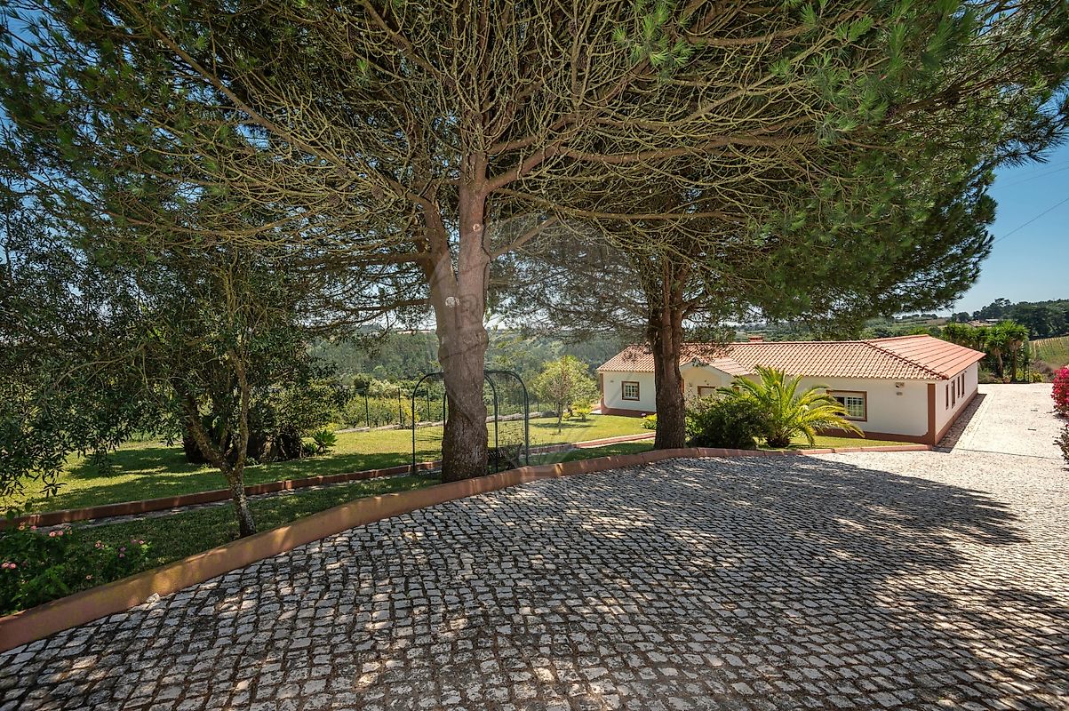 listing-picture-0