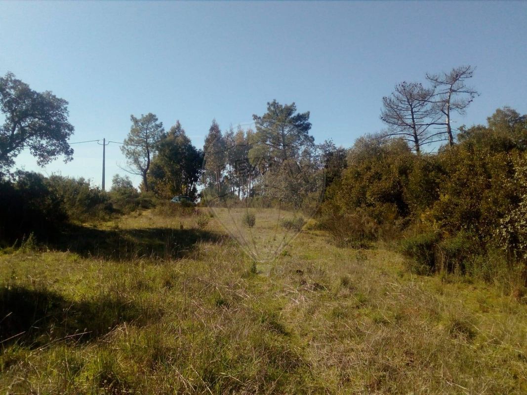 Terreno para venda