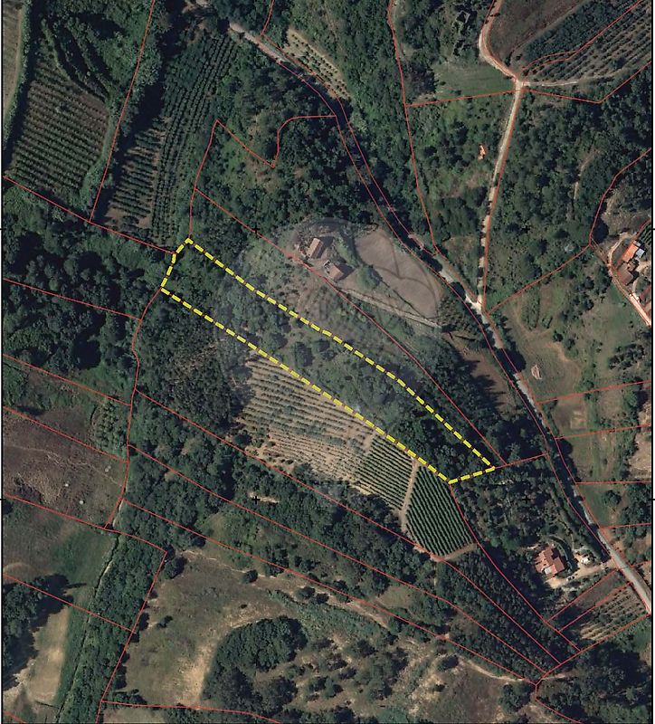Terreno - Santa Maria, São Pedro e Sobral da Lagoa, Óbidos, Leiria