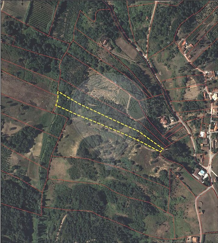 Terreno - Santa Maria, São Pedro e Sobral da Lagoa, Óbidos, Leiria