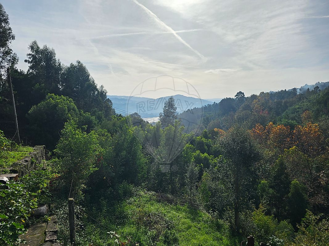 listing 120781092-207 picture-0