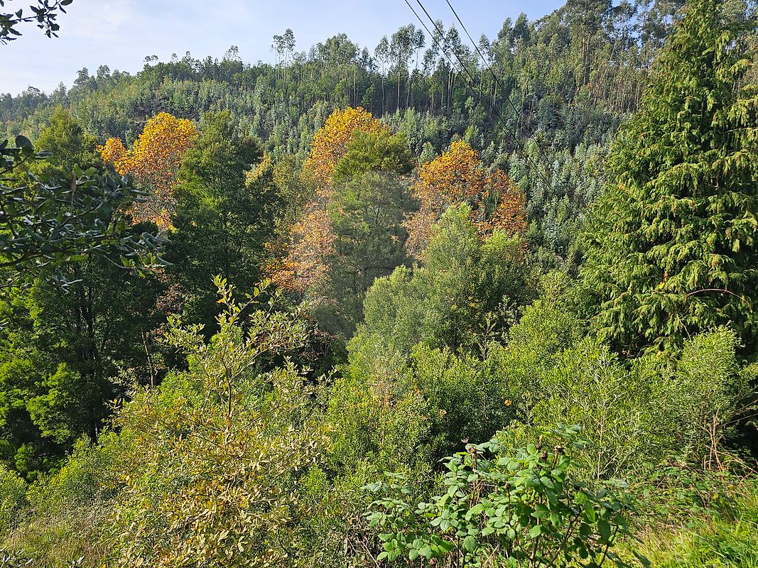 listing 120781092-207 picture-0