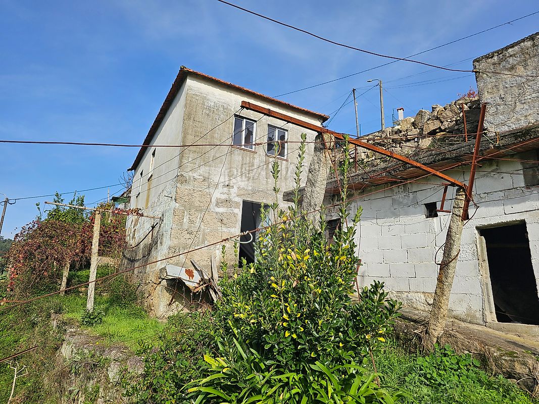 listing 120781092-207 picture-0