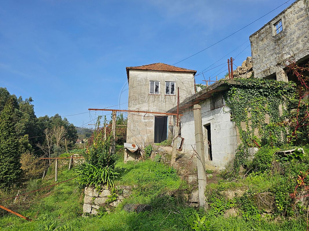 listing 120781092-207 picture-0