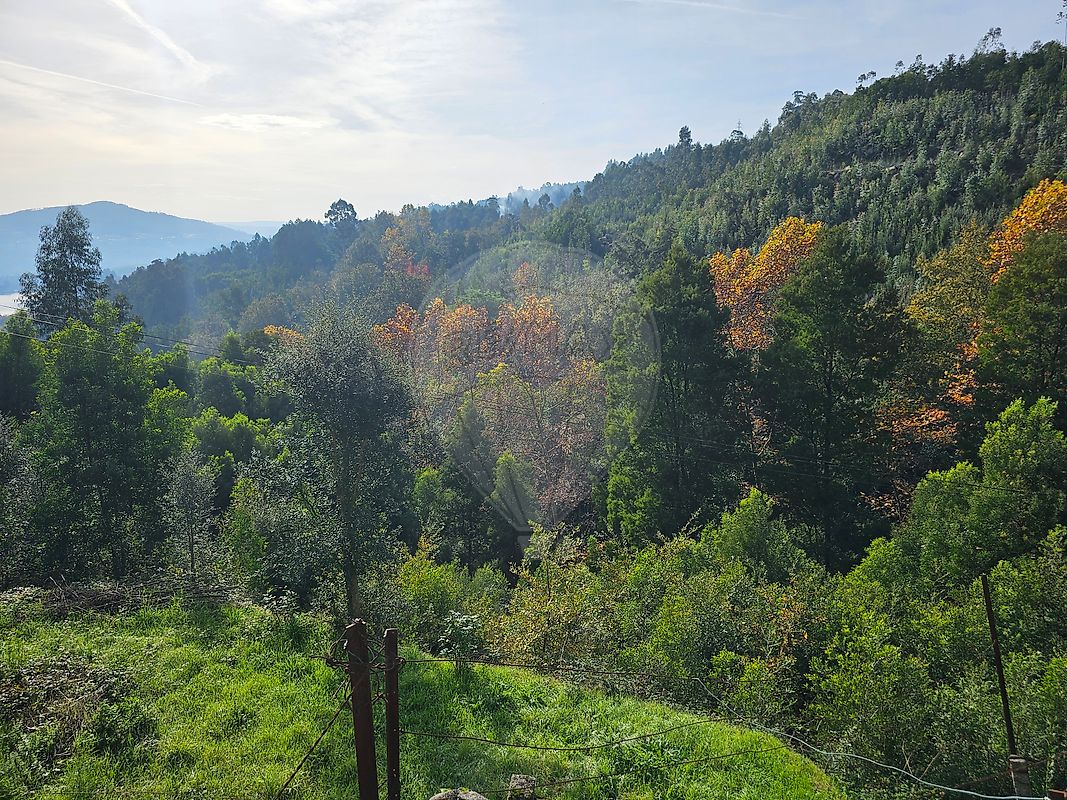 listing 120781092-207 picture-0